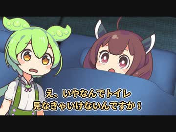 夜中に一緒にきてほしいずんだもん