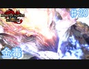 炎！炎！毒！炎！の連撃【モンスターハンターRiseSunbreak  ♯20】