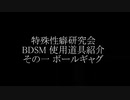 【ボンテージ】ボンテージ拘束具の世界 その一 ボールギャグ