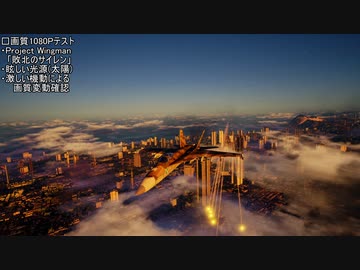 1080画質テスト　Project Wingman 「敗北のサイレン」プレイ動画のみ