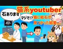 猫系youtuber、猫が病気になった直後、別の子猫の動画を投稿してしまう…