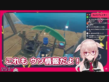 ウソ情報を否定するもこ田めめめ