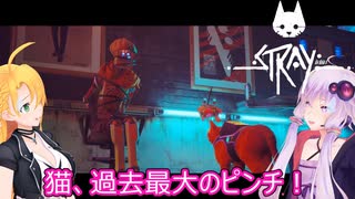 【STRAY】ゆかりとマキが猫ちゃんと大冒険part２５【特別シリーズ】