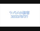 ツバメの観察2022No045