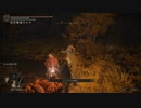 【ELDEN RING】発売日からトロコンするまで【実況】 part123