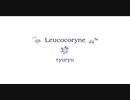 Leucocoryne / ryuryu 【アコギCover】