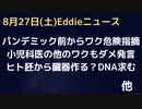 DNAデータが欲しいのは？ヒト胚からの臓器生成実験に問題はないのか？研究進行中　パンデミック前からワク危険を指摘、米のある小児科医の証言「アジュバントのアルミニウム」が非常にヤバい