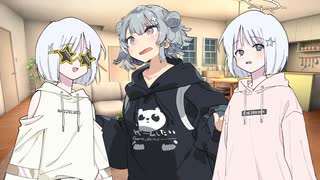 第1回みんなの部屋を訪問しようの回(フィーちゃん編)