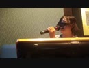 ξ   ° ◡ °  ξ（コメントなし、映像あり、音声なし）