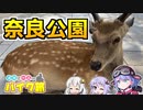 【VOICEROID車載】清楚で一人なバイク旅 ～奈良公園編～【vtuber】