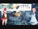 【60秒動画アピール祭】全く思い浮かばないが、とりあえず、そらさんとついなちゃんに話してもらう動画
