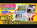 【2ch面白スレ】誰でもいいのでこの画像面白くして下さいお願いしますｗｗｗ【爆笑必至】