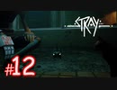 【ジェイル】猫になれる！？サイバーパンクな世界を探索できるADVゲーム『Stray』#12