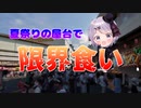 【夏祭り】夏祭りの屋台で限界食いしてみた【Vtuber / 風凪詞華】