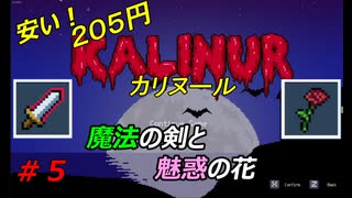 【メトロイドヴァニア】Kalinur【安い】実況プレイ 05