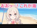 おおっ…！　これが海…！