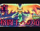 【星のカービィ】２０代後半ホイホイの兄弟実況　part21【ディスカバリー】