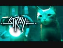 ”最高の相棒”との出会い【Stray-ストレイ-】