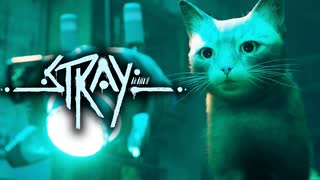”最高の相棒”との出会い【Stray-ストレイ-】
