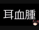 【ゆっくり朗読】ゆっくりさんと不思議な病気 その523