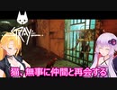 【STRAY】ゆかりとマキが猫ちゃんと大冒険part２６【特別シリーズ】