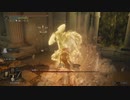 【ELDEN RING】発売日からトロコンするまで【実況】 part124