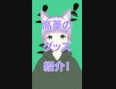 高葦さんのグッズ紹介！〜LINEスタンプ編〜 #高葦ねを