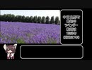 東北きりたんと歩く北海道　～第3回　富良野～