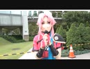 コミケ新C100（録画コメなし）　コスプレ　マァム　ダイの大冒険　カモミール