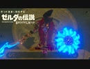 思うがままに旅をする【ゼルダの伝説 BotW】Part 22