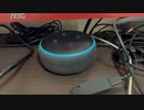 【ALEXA】今日のアレクサ 2022/08/29 焼肉の日