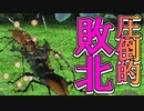 【実況】公式大会の決勝で木っ端みじんにボコボコにぶっ飛ばされ精神崩壊してしまう【甲虫王者ムシキング グレイテストチャンピオンへの道２】part15