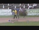 ３歳秋のＣＳ２０２２ サンケイスポーツ協賛 第26回黒潮菊花賞 パドック～本馬場入場