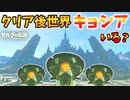 クリア後の世界で最終試練や神獣内に入るとなかなかカオス【ブレワイ BotW】裏技 バグ 検証 ゆっくり実況 glitch