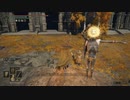 【ELDEN RING】発売日からトロコンするまで【実況】 part125