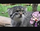 珍しいネコに会いに那須どうぶつ王国へ行ってきた【VOICEROID旅行】