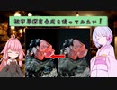 【第八回ひじき祭】被写界深度合成を使ってみたい！【ソフトウェアトーク】