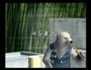 くまうた　（565）　「回答者千早」　唄：嵐山クマ男