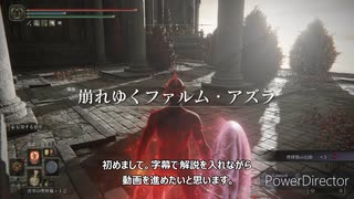 【エルデンリング】盾男の侵入動画【ELDENRING】