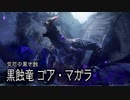 【mhsb】part47前編モンスターハンターサンブレイク実況M★4黒き衣を纏う竜