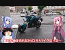 琴葉姉妹と行く釣行記録（車載編part22 7/10）