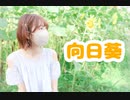 【誕生日】 向日葵　踊ってみた【ポテソ】