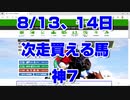 【競馬】8/13、14日 次走買える馬 神7