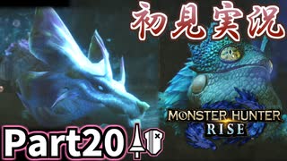 【MHRise】初見で楽しむ！MHRise実況プレイPart20【里★5月夜に舞う／里★4ドクターの孤独な毒研究】