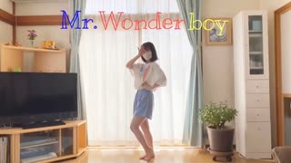 【ぷぅか】Mr.wonderboy【踊ってみた】