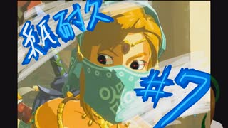 半端もののゼルダ攻略　＃７　～イーガ団に夜這い編～