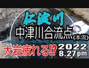 アユの友釣り 仁淀川(高知県) 本流中津川合流点 2022.8.27pm
