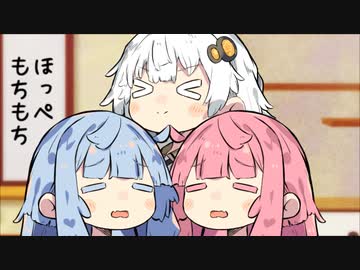 ことのはあかりピラミッド！！！【第八回ひじき祭】