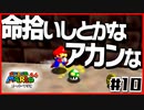 【マリオ64】「絵や壁の中に世界がある」と叫ぶ男２人【#10】
