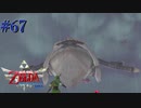 呪われし神ナリシャ【ゼルダの伝説 スカイウォードソードHD】#67